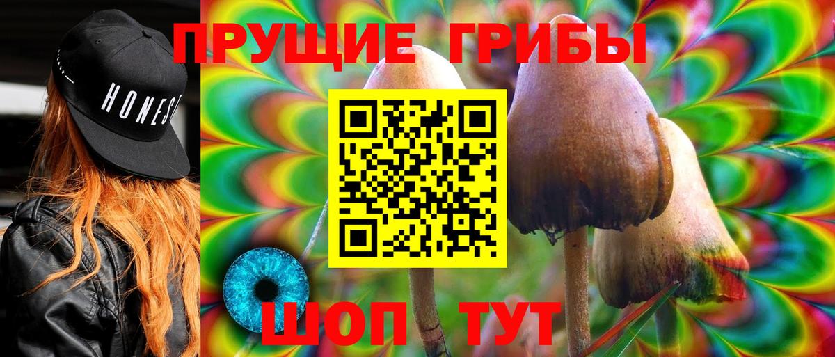 Псилоцибиновые грибы Psilocybine cubensis Гулькевичи