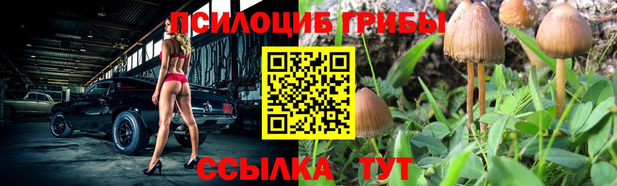 Псилоцибиновые грибы Psilocybine cubensis  Вход с VPN  Гулькевичи 