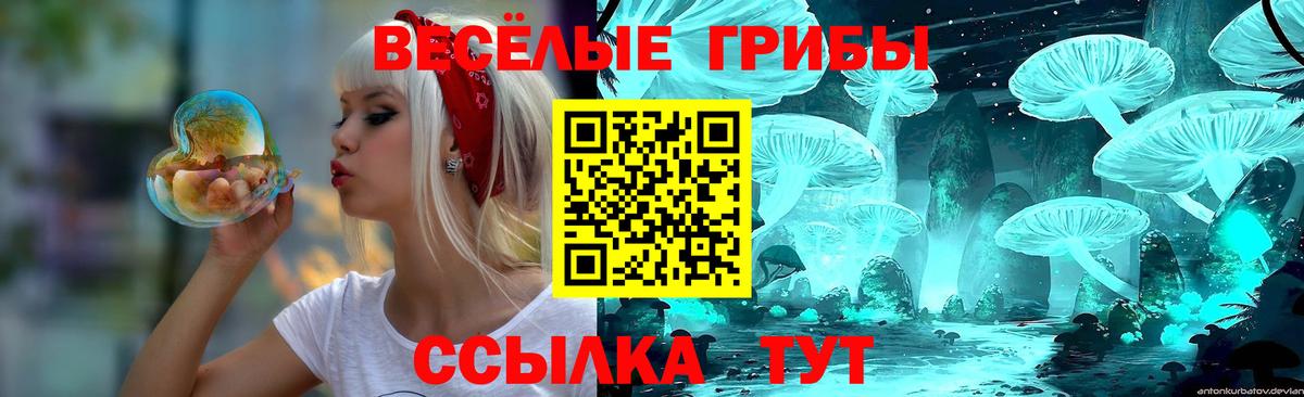 Гулькевичи  ГАШИШ  Купить наркотик  LSD-25  Гашиш  Меф МЯУ МЯУ   Вход с VPN  Бошки Шишки 